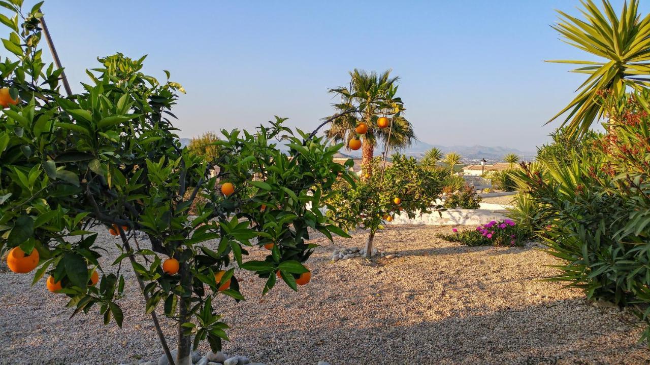 Villa Campos Del Rio Campos del Rio
